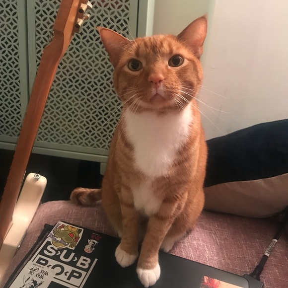 Meet your Posher, Dela - Picture 2 of 2